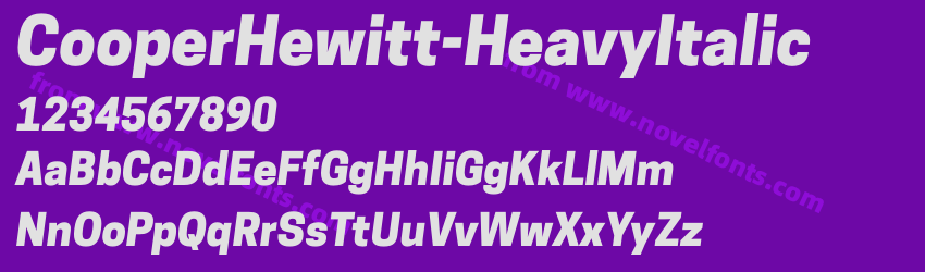 CooperHewitt-HeavyItalicPreview