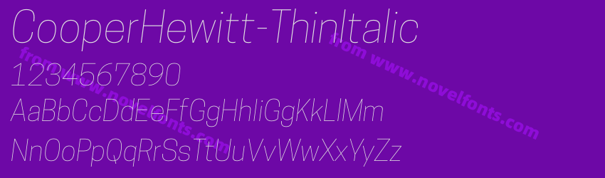 CooperHewitt-ThinItalicPreview