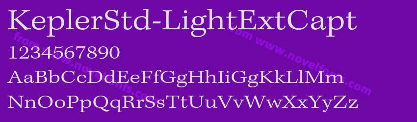 KeplerStd-LightExtCaptPreview