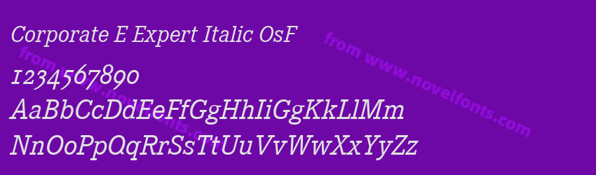 Corporate E Expert Italic OsFPreview