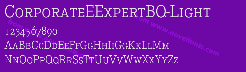 CorporateEExpertBQ-LightPreview