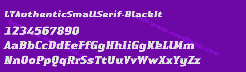 LTAuthenticSmallSerif-BlackItPreview