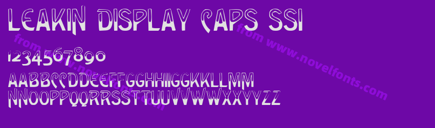 Leakin Display Caps SSiPreview