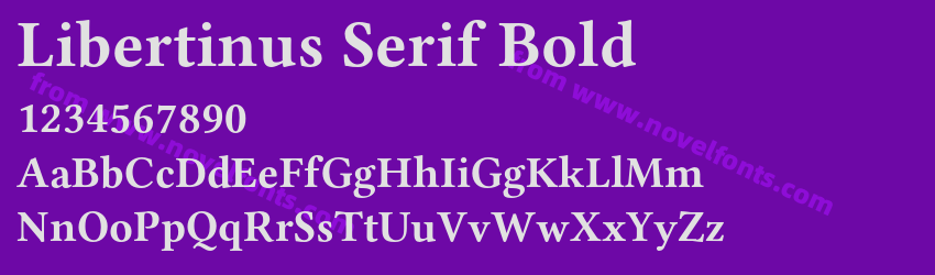 Libertinus Serif BoldPreview