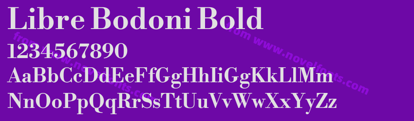 Libre Bodoni BoldPreview