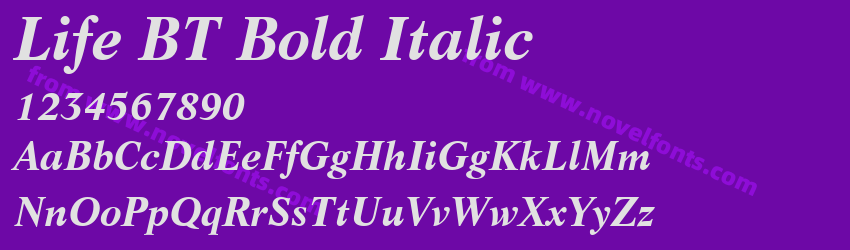 Life BT Bold ItalicPreview