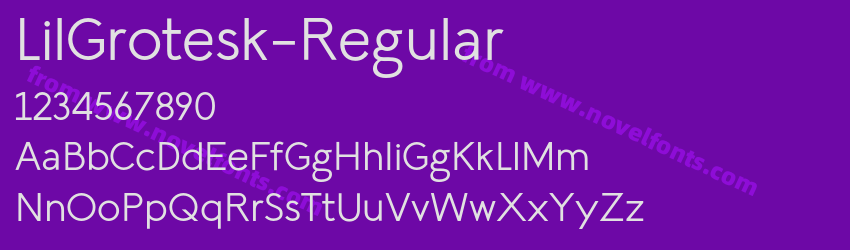 LilGrotesk-RegularPreview