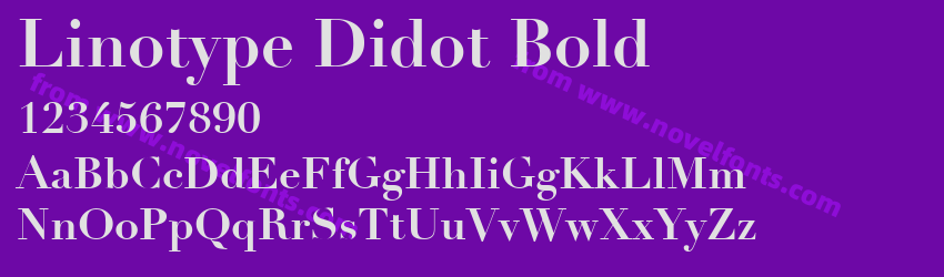 Linotype Didot BoldPreview