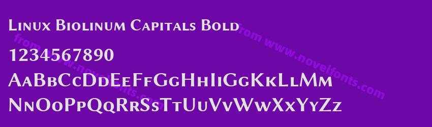 Linux Biolinum Capitals BoldPreview