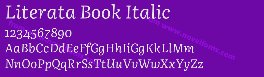 Literata Book ItalicPreview