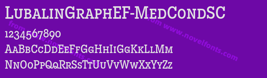 LubalinGraphEF-MedCondSCPreview