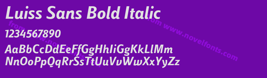 Luiss Sans Bold ItalicPreview