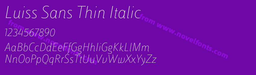 Luiss Sans Thin ItalicPreview