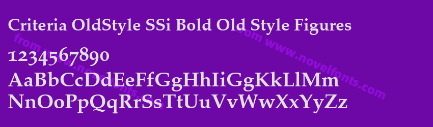 Criteria OldStyle SSi Bold Old Style FiguresPreview