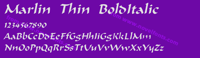 Marlin Thin BoldItalicPreview