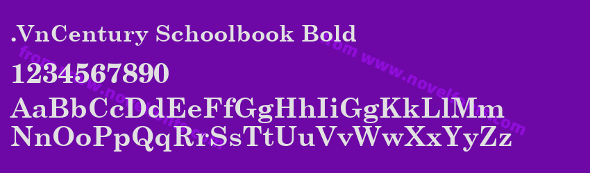 .VnCentury Schoolbook BoldPreview