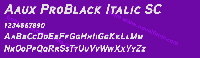 Aaux ProBlack Italic SCPreview