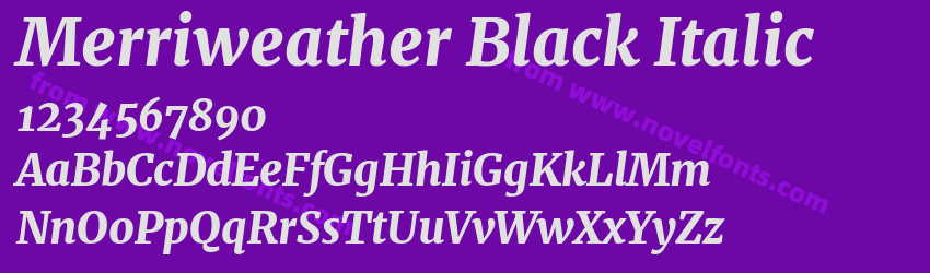 Merriweather Black ItalicPreview