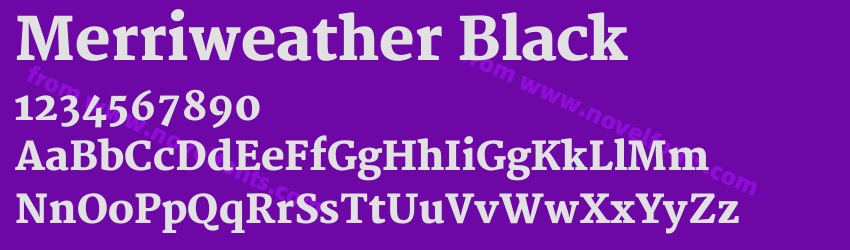 Merriweather BlackPreview