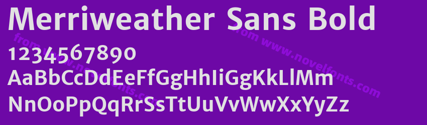 Merriweather Sans BoldPreview