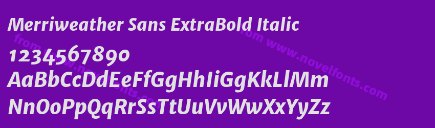 Merriweather Sans ExtraBold ItalicPreview