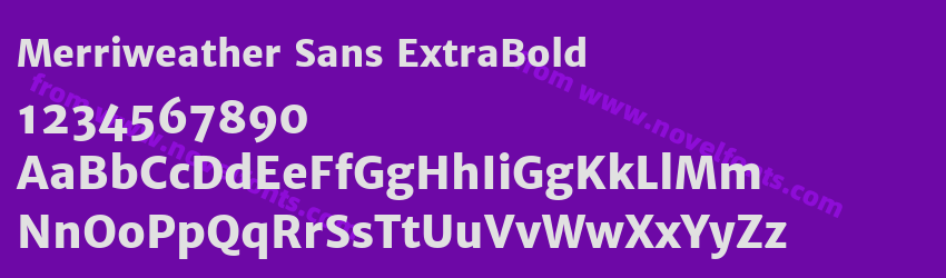 Merriweather Sans ExtraBoldPreview