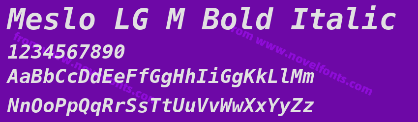 Meslo LG M Bold ItalicPreview