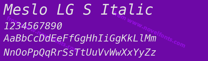 Meslo LG S ItalicPreview