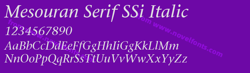 Mesouran Serif SSi ItalicPreview