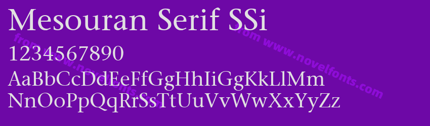 Mesouran Serif SSiPreview