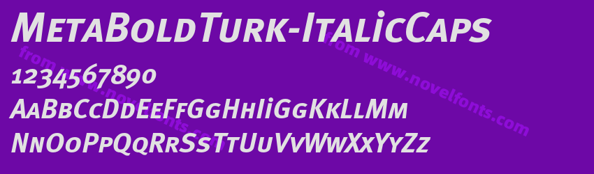 MetaBoldTurk-ItalicCapsPreview