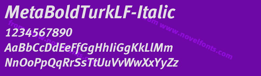 MetaBoldTurkLF-ItalicPreview