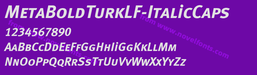 MetaBoldTurkLF-ItalicCapsPreview