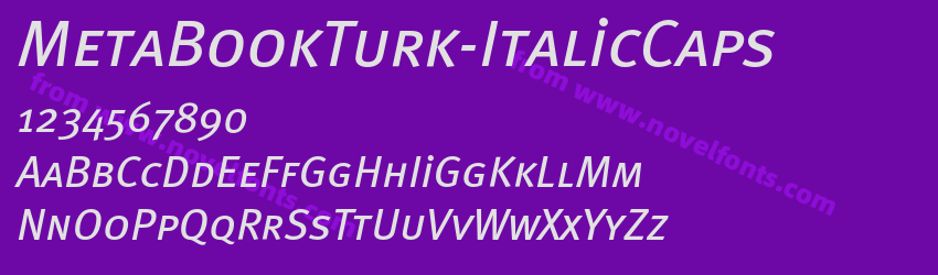 MetaBookTurk-ItalicCapsPreview