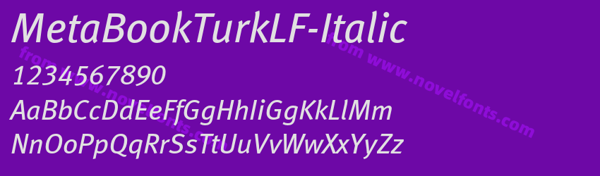 MetaBookTurkLF-ItalicPreview