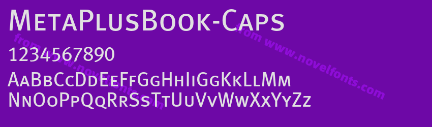 MetaPlusBook-CapsPreview