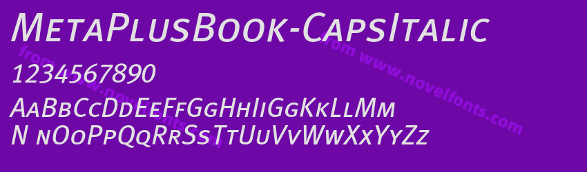 MetaPlusBook-CapsItalicPreview