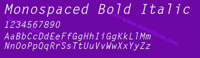 Monospaced Bold ItalicPreview