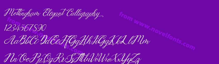 Mottingham Elegant CalligraphyPreview