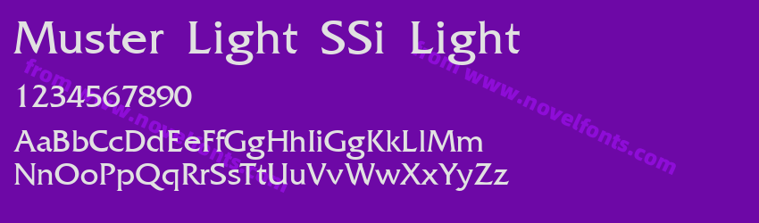 Muster Light SSi LightPreview