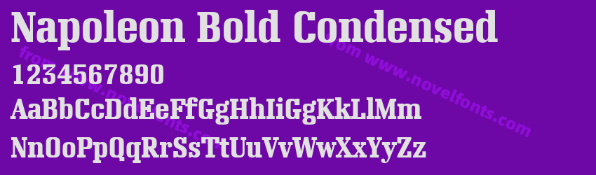 Napoleon Bold CondensedPreview