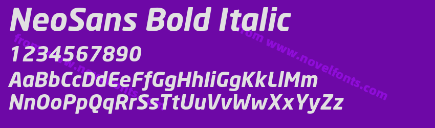 NeoSans Bold ItalicPreview