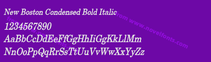 New Boston Condensed Bold ItalicPreview