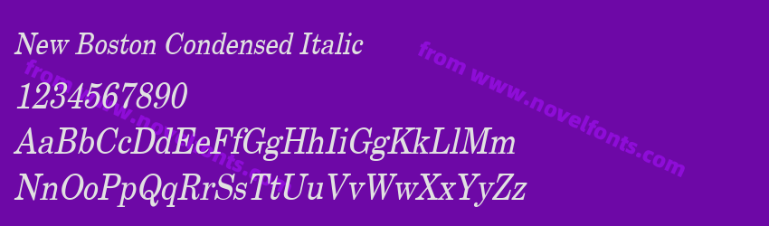 New Boston Condensed ItalicPreview