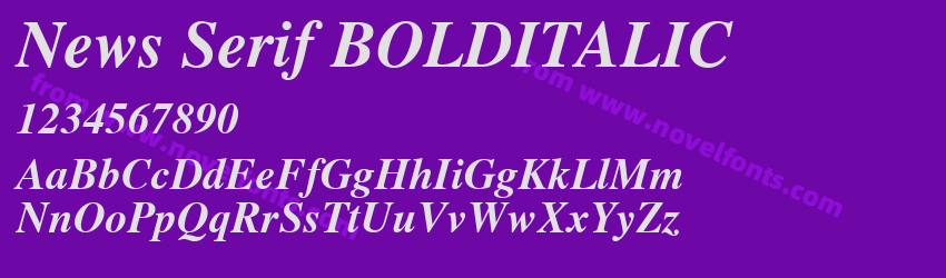 News Serif BOLDITALICPreview