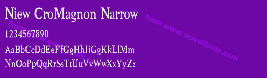 Niew CroMagnon NarrowPreview