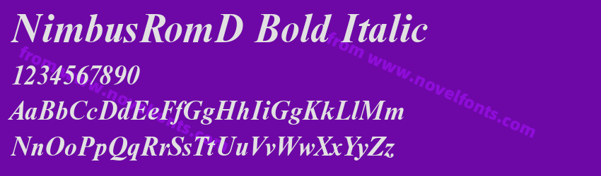 NimbusRomD Bold ItalicPreview