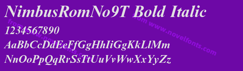 NimbusRomNo9T Bold ItalicPreview