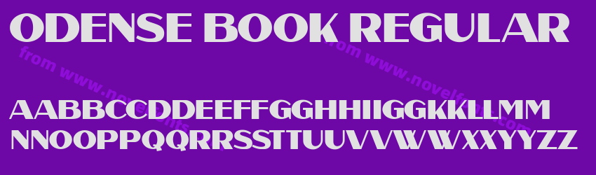 Odense Book RegularPreview