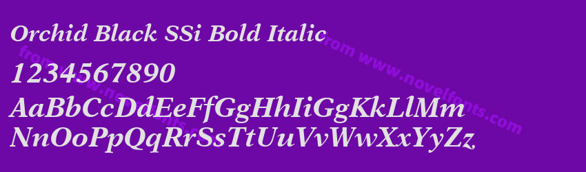 Orchid Black SSi Bold ItalicPreview